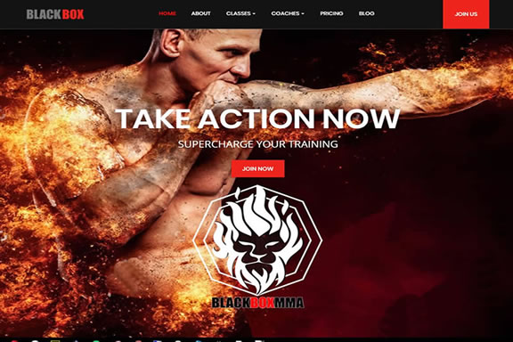 Pefect Pixels - Portfolio - BlackBox MMA